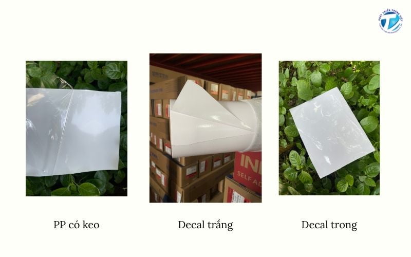 Mua chất liệu in poster dán phổ biến tại Phát Triển Trung Việt